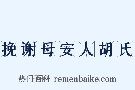 挽谢母安人胡氏是什么意思的图片